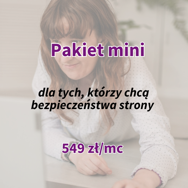 wsparcie biznesu pakiet mini