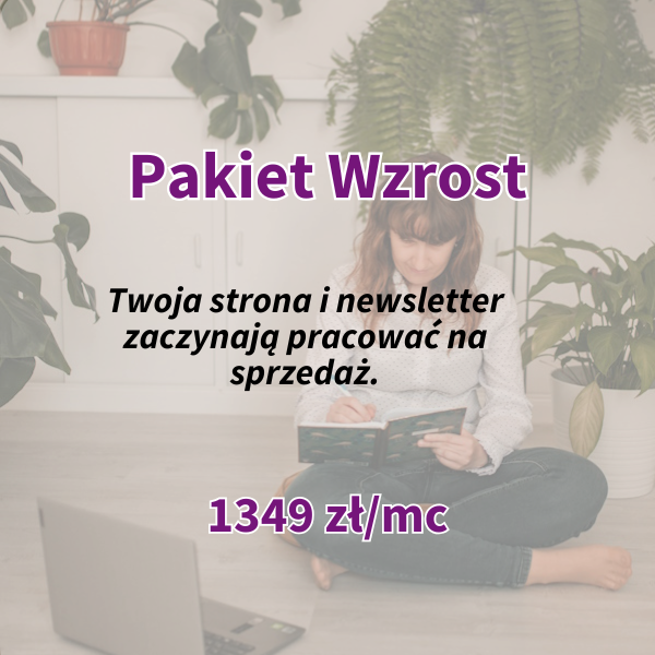 wsparcie biznesu pakiet standard